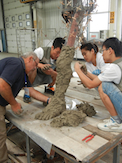 Caption Text